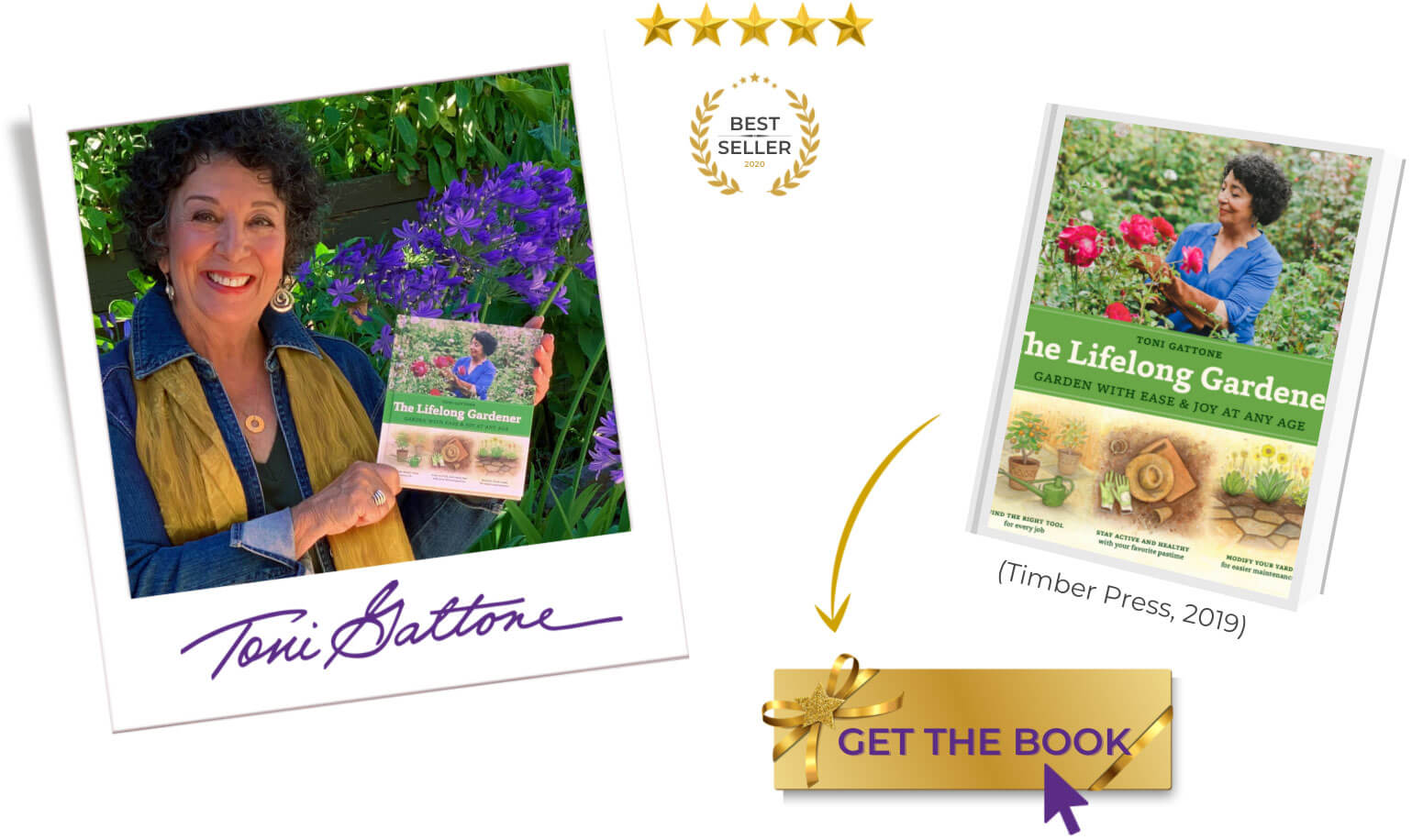 Toni Gattone Book Section