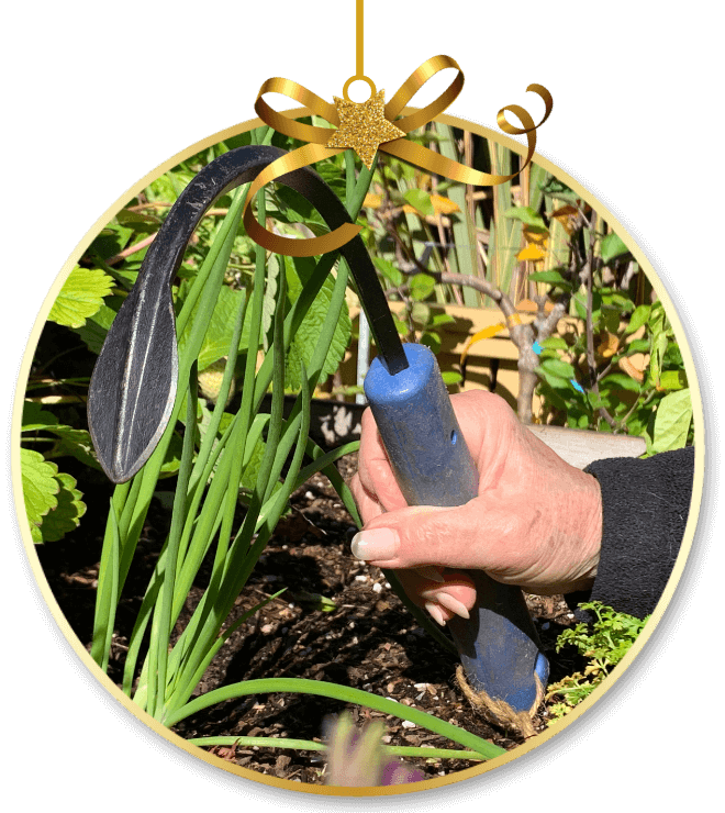 Toni Gattone using a Cobrahead Weeder and Cultivator