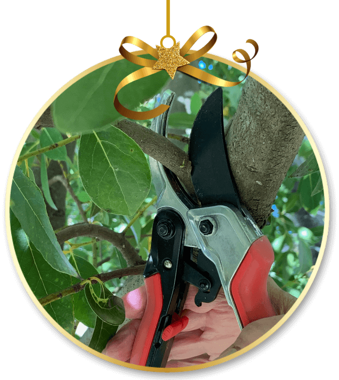 Corona Ratchet CUT™ ComfortGel® Pruner