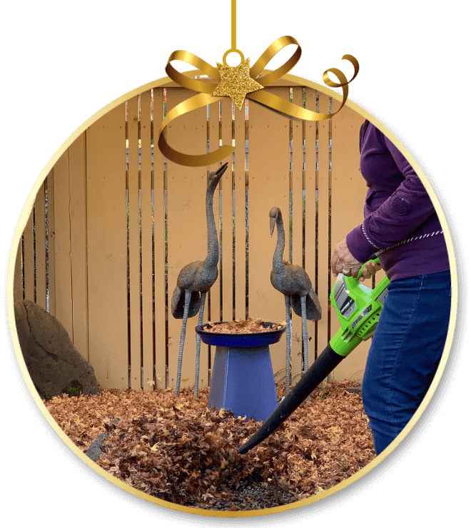 Earthwise Leaf Blower