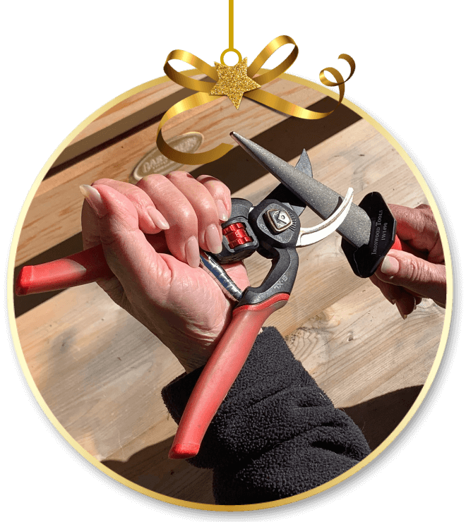 Ironwood Tool Sharpener