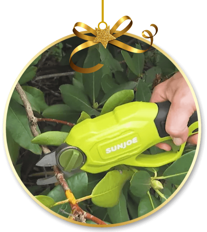 Sun Joe Power Pruner
