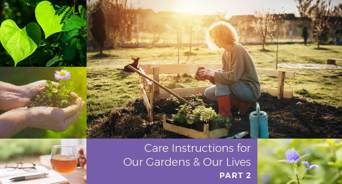 header image for blog post from Toni Gattone titled Care Instructions for Our Gardens and Our Lives
