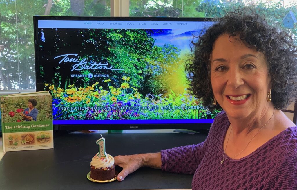 Toni Gattone sit in front of her Award Winning website on a desktop computer